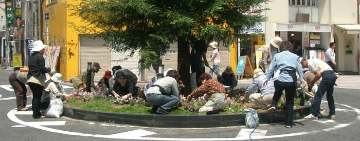 ソーシャルガーデナークラブによる並木通りの緑化